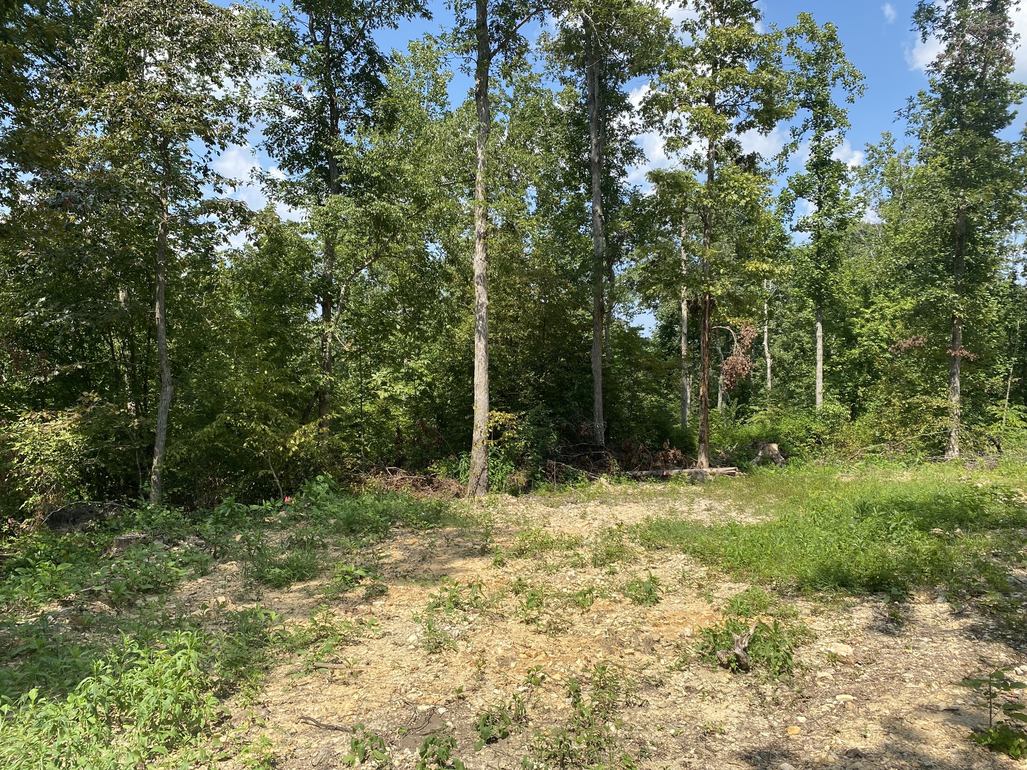 401 Napier Road Hohenwald, TN 38462 - Photo 4 of 8