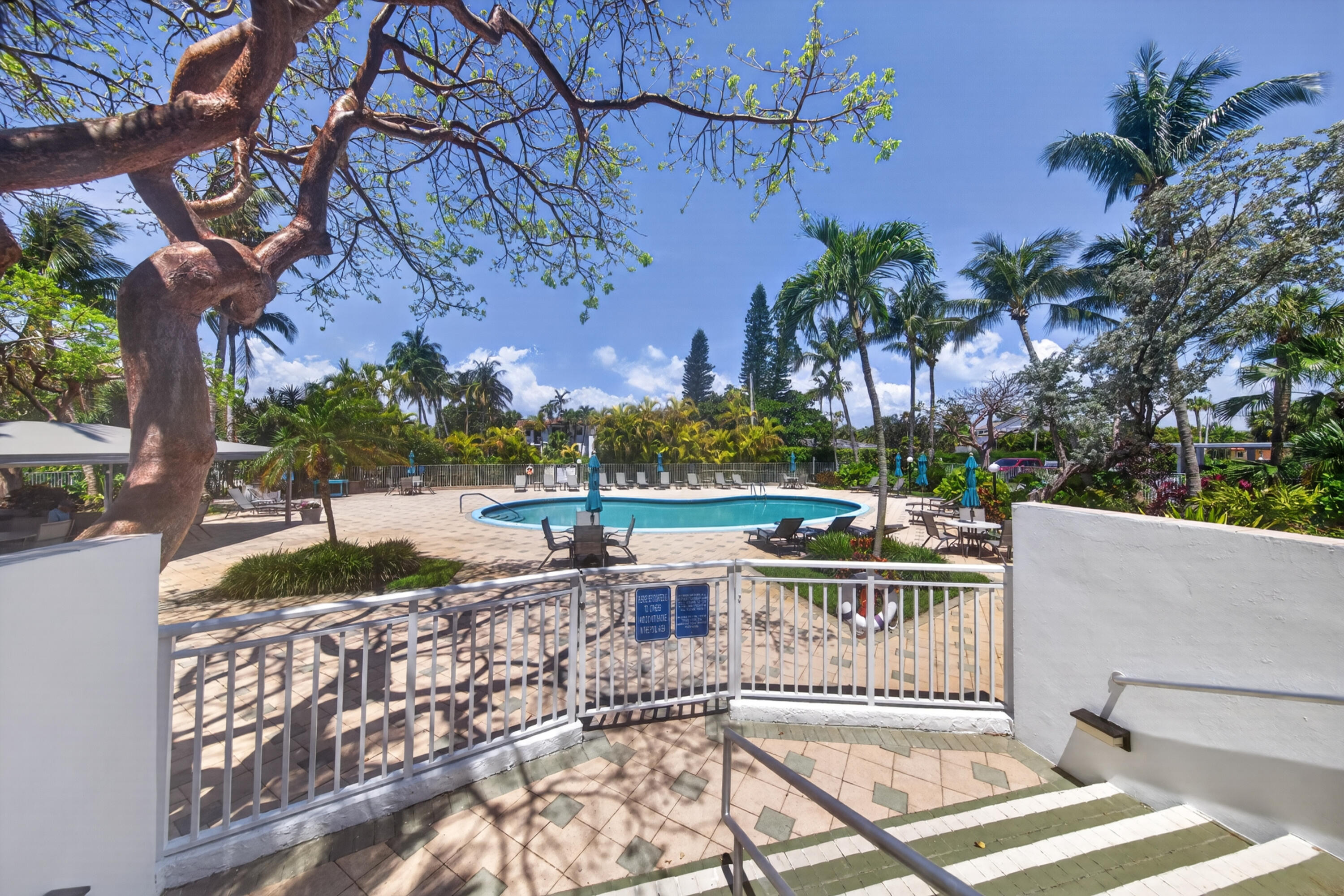 2851 South Ocean Boulevard, Unit 1N Boca Raton, FL 33432 - Photo 40 of 54 a view of a swimming pool with a patio and a yard