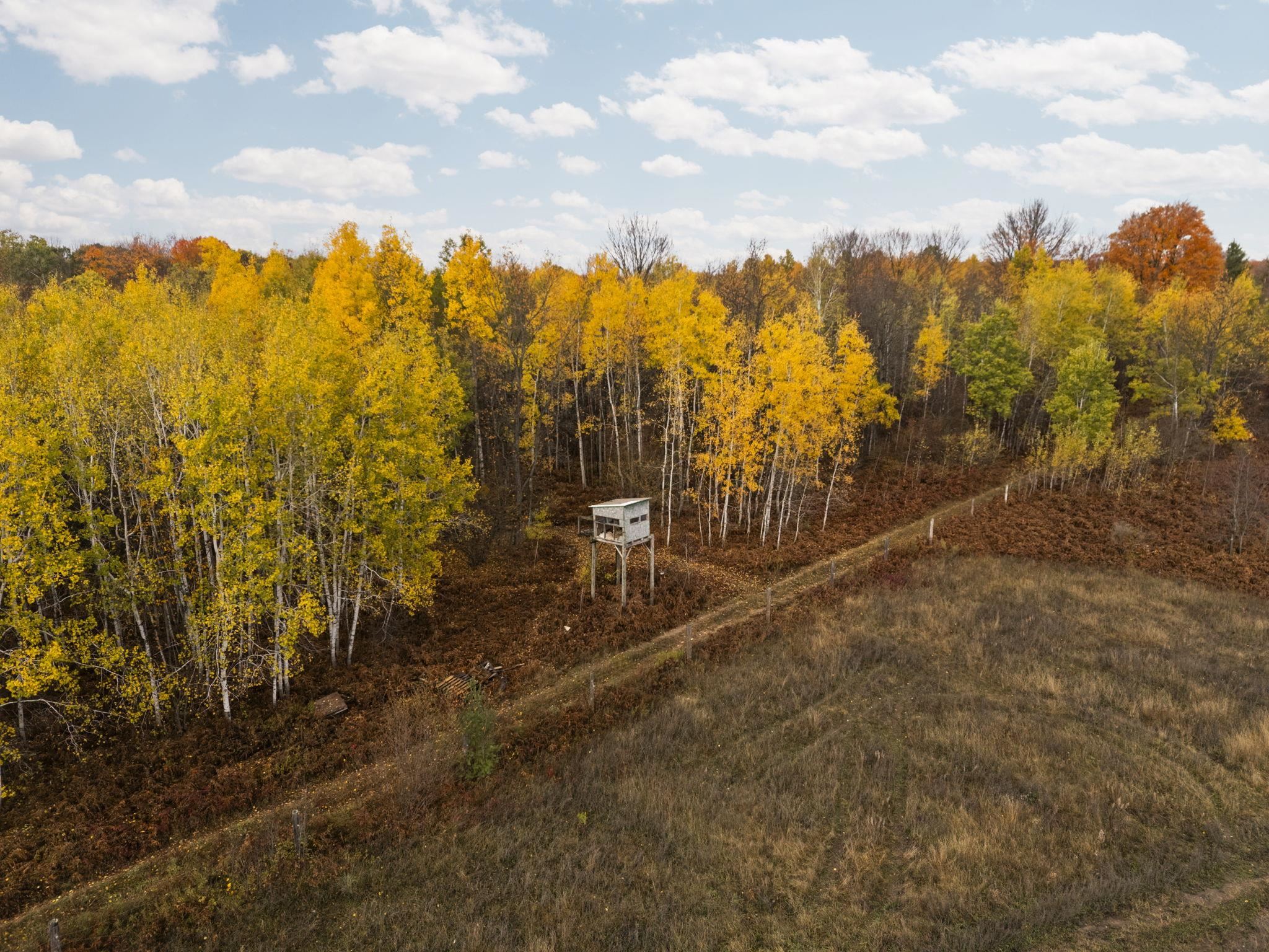 3976 Irvin Road Kingsley, MI 49649 - Photo 34 of 68