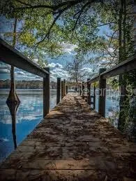 $699,999 | 30342 Vitex Avenue, Eustis, FL 32736