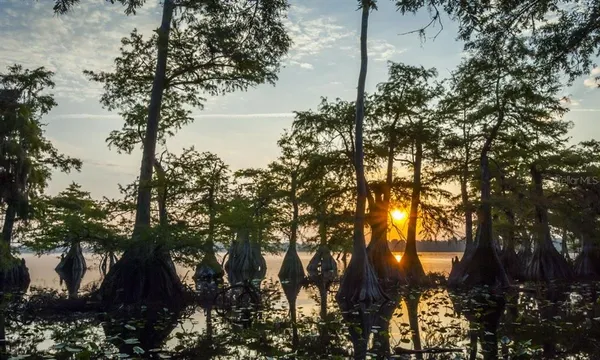 $699,999 | 30342 Vitex Avenue, Eustis, FL 32736