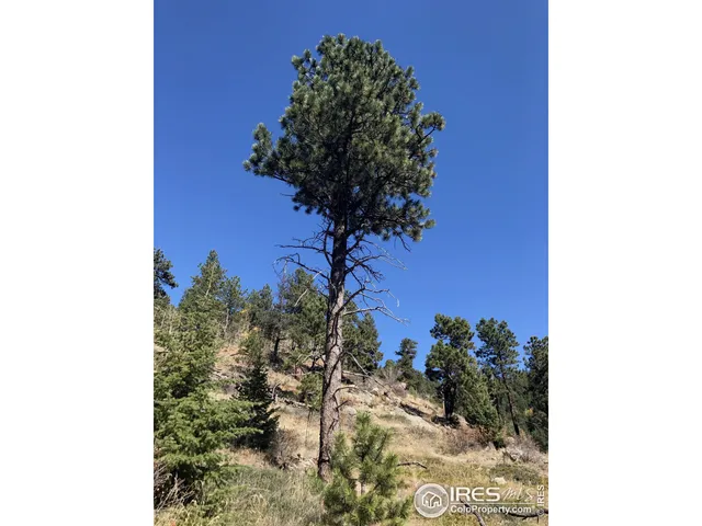 $85,000 | 0 Good Friday Road, Boulder, CO 80302