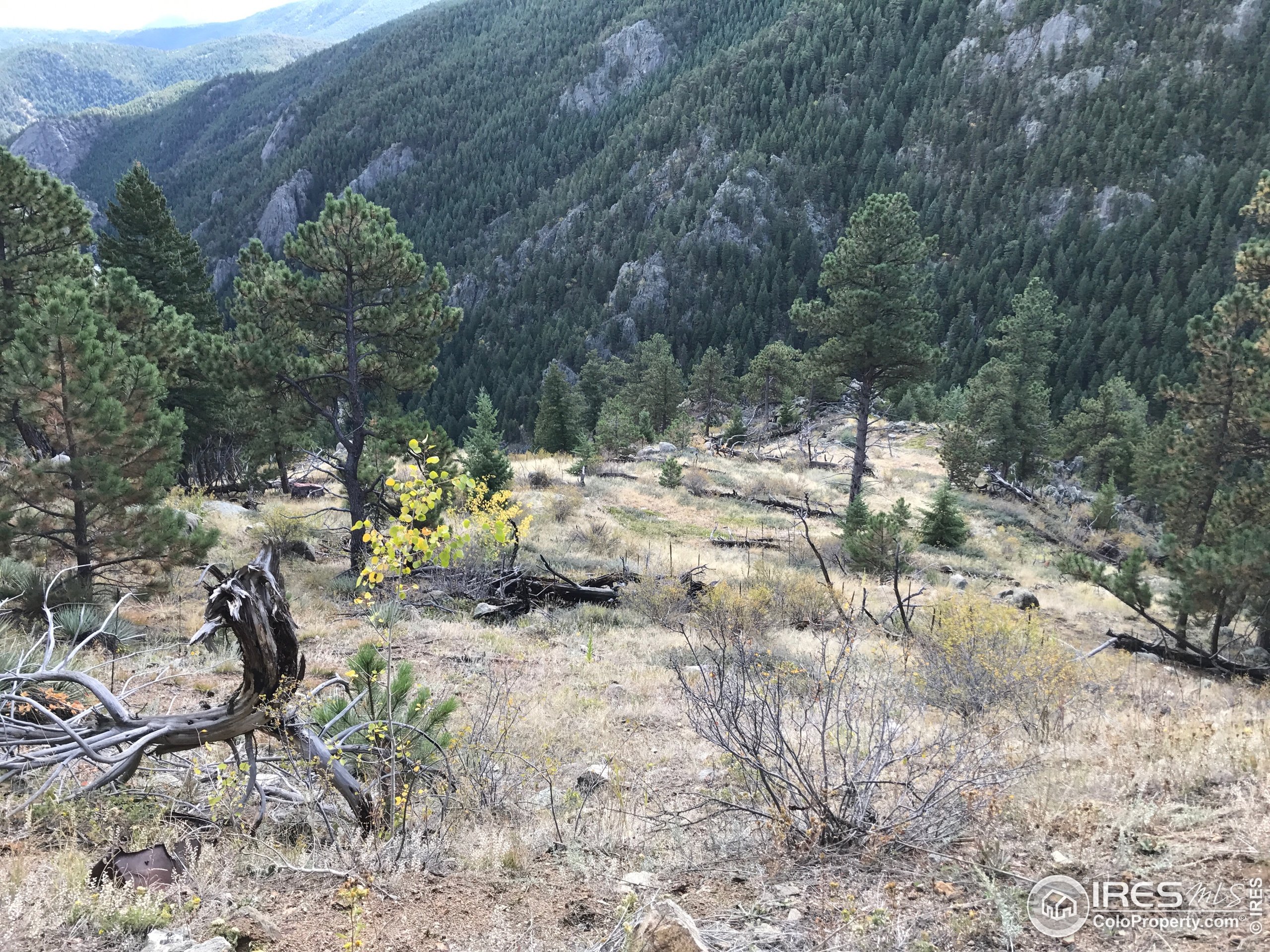 0 Good Friday Road Boulder, CO 80302 - Photo 2 of 7