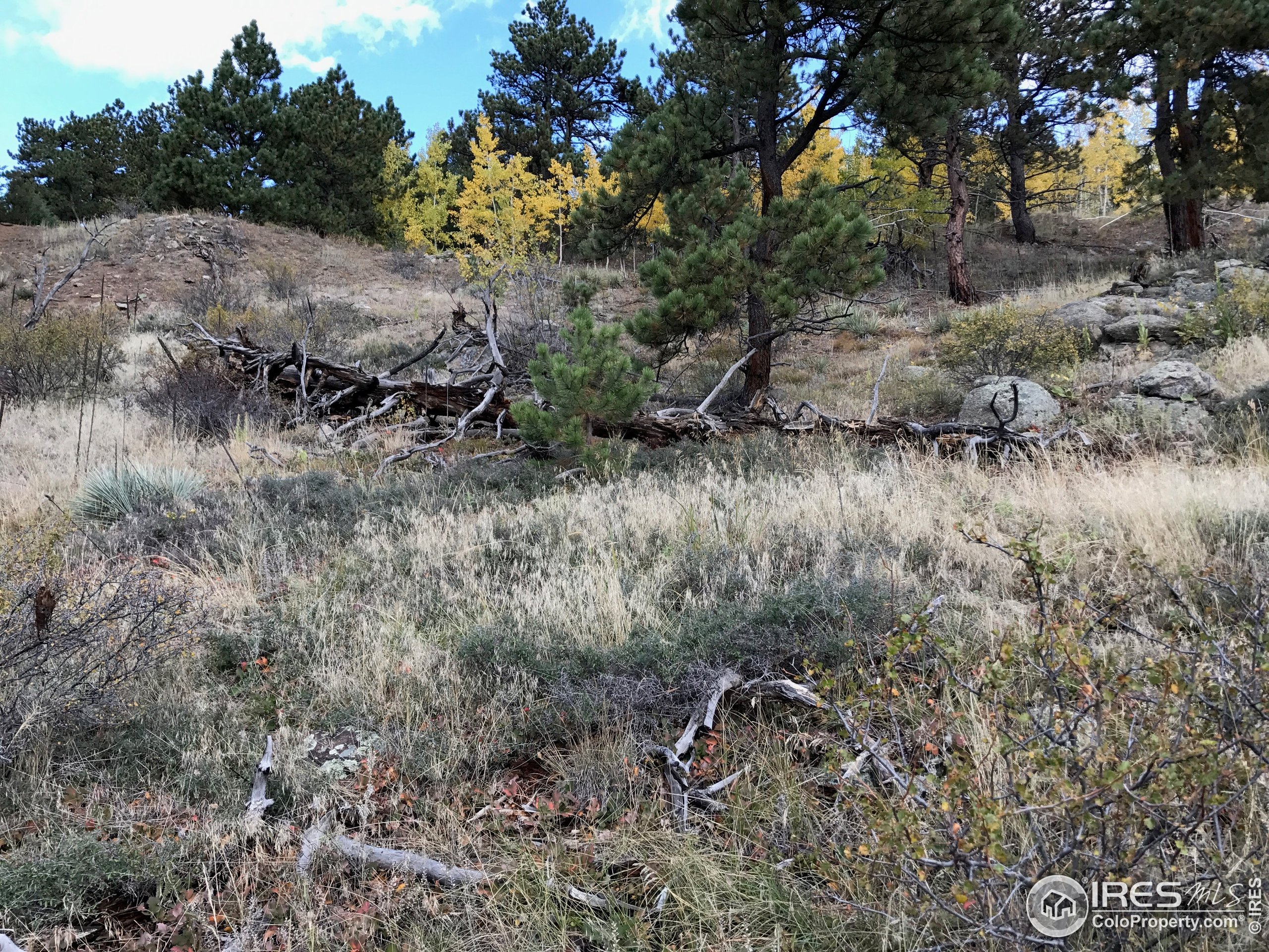 0 Good Friday Road Boulder, CO 80302 - Photo 4 of 7