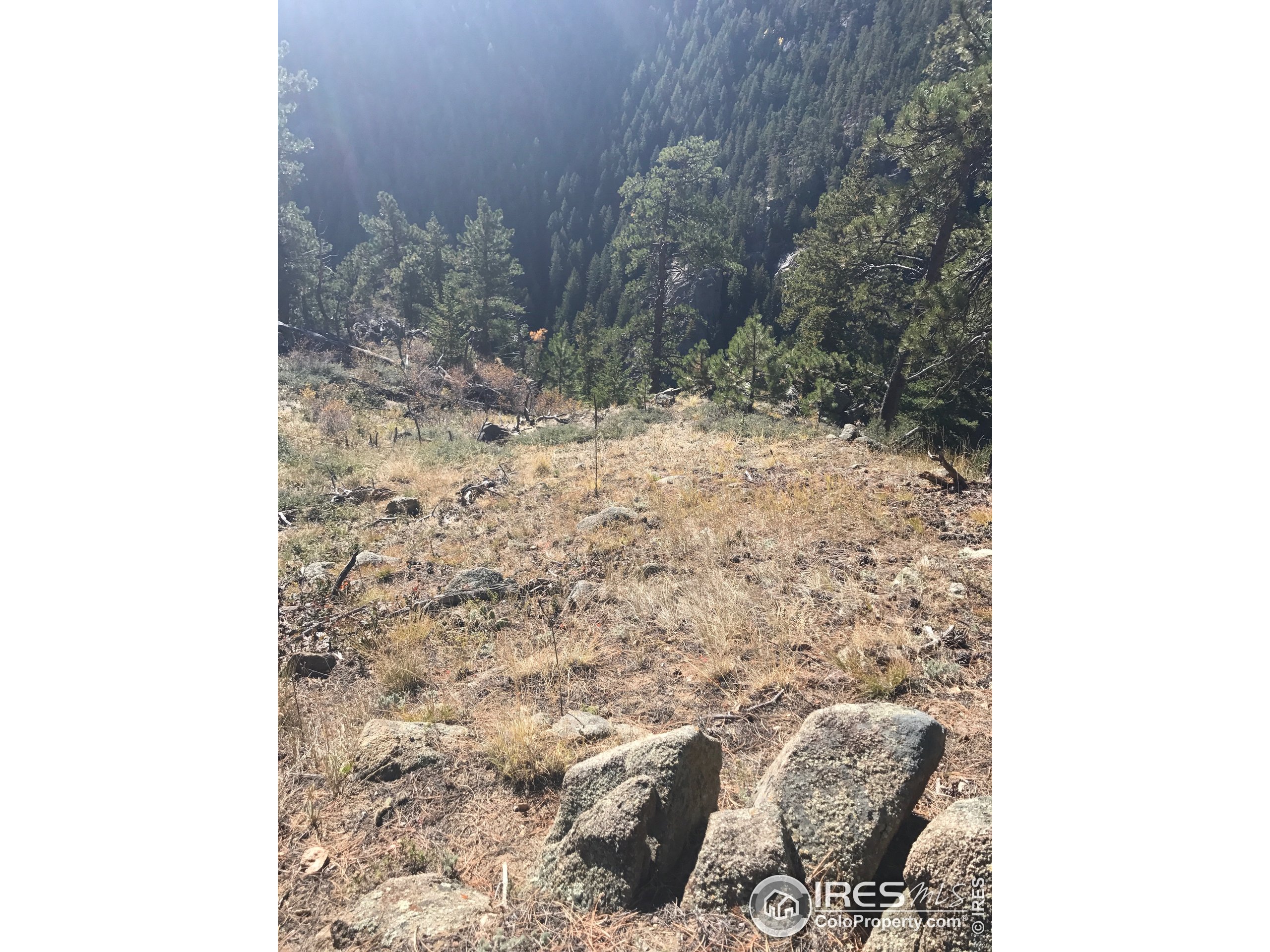 0 Good Friday Road Boulder, CO 80302 - Photo 5 of 7