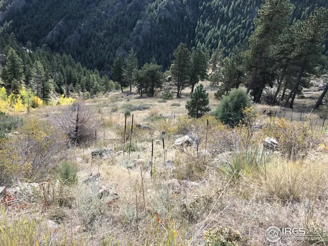 $85,000 | 0 Good Friday Road, Boulder, CO 80302