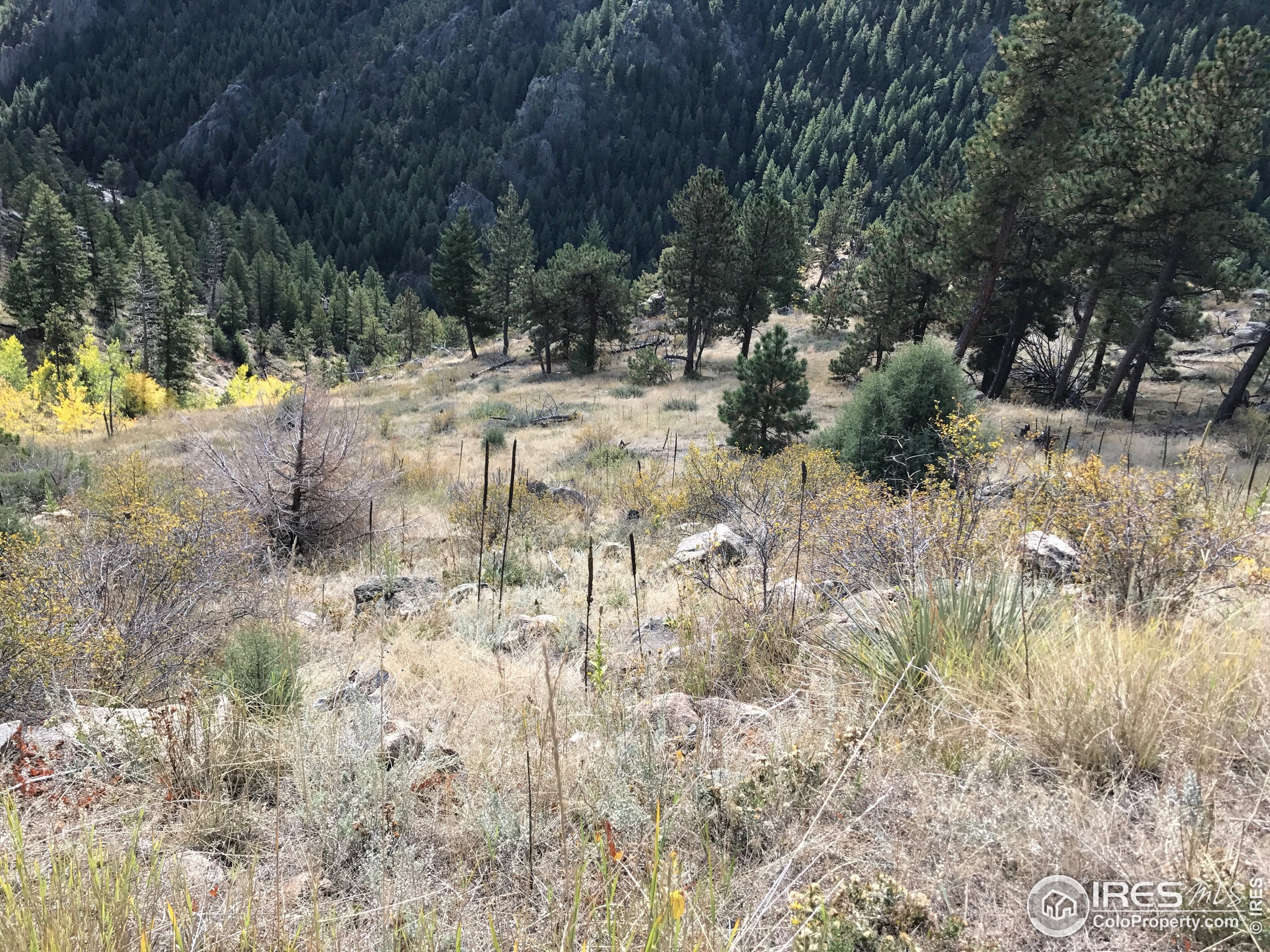 0 Good Friday Road Boulder, CO 80302 - Photo 6 of 7