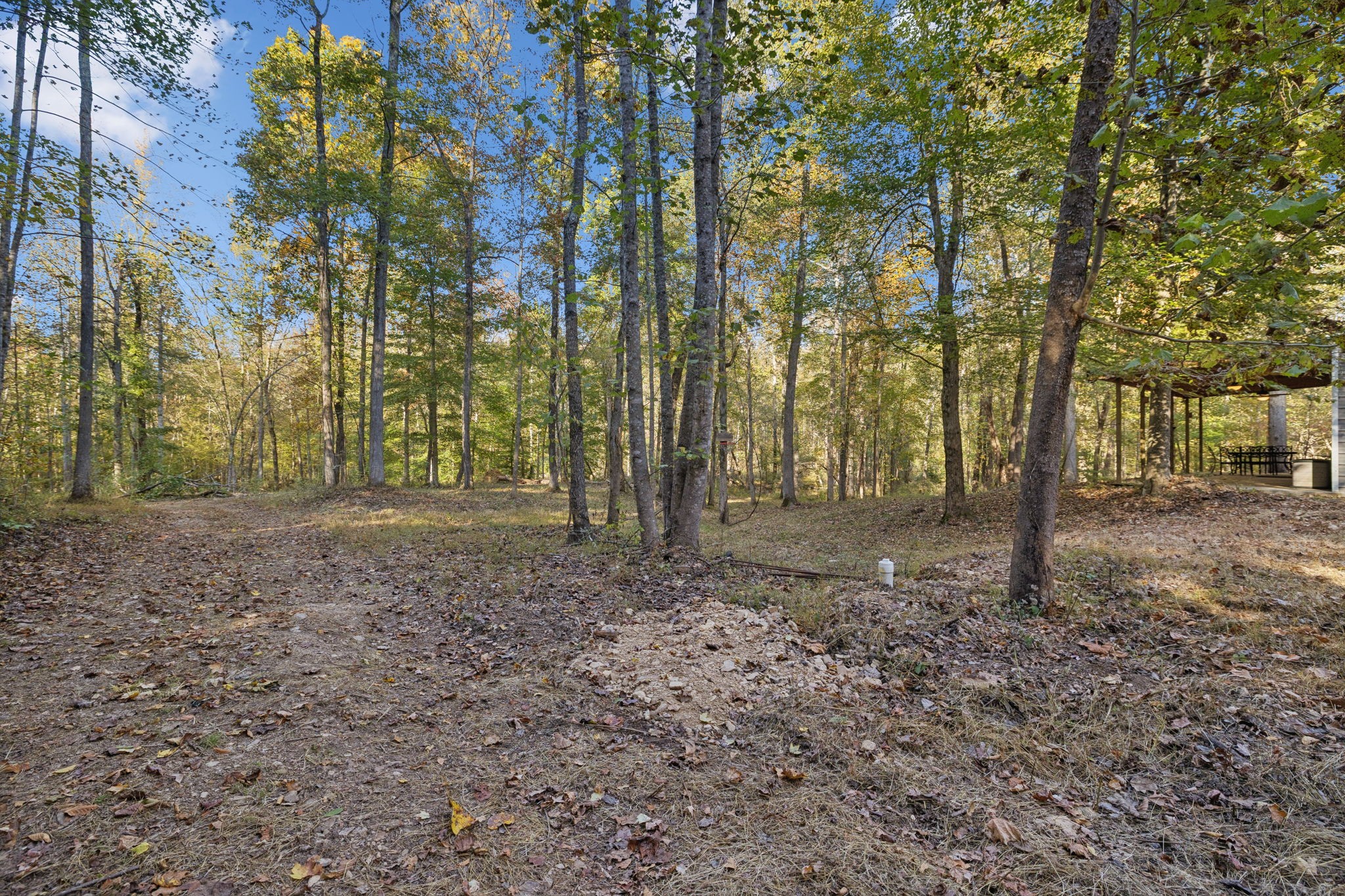 1399 Roberts Creek Road Waverly, TN 37185 - Photo 25 of 42 a view of outdoor space with trees