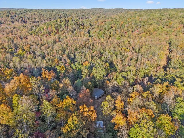 a view of a field with a tree in the background