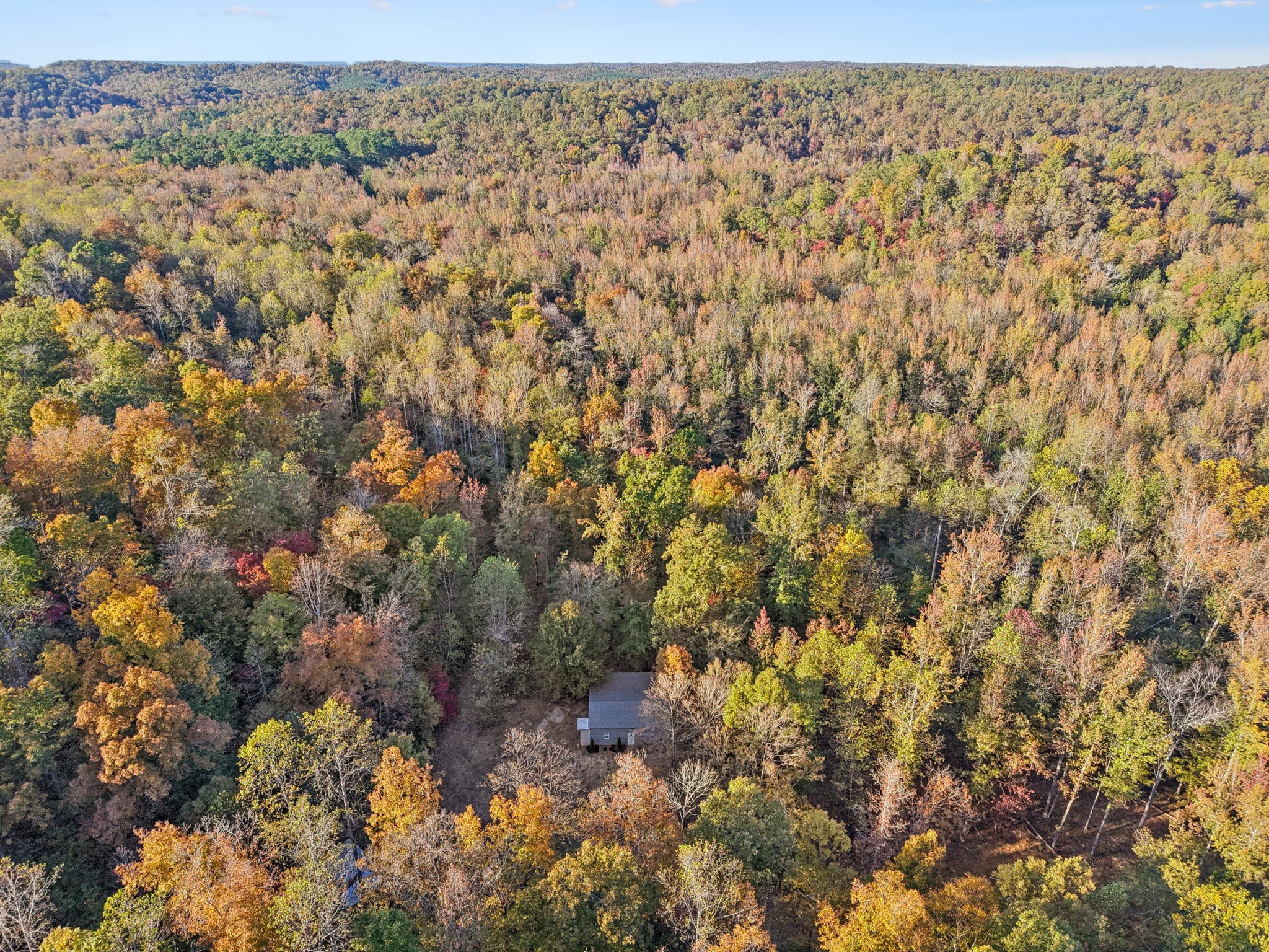 1399 Roberts Creek Road Waverly, TN 37185 - Photo 31 of 42 a view of a yard