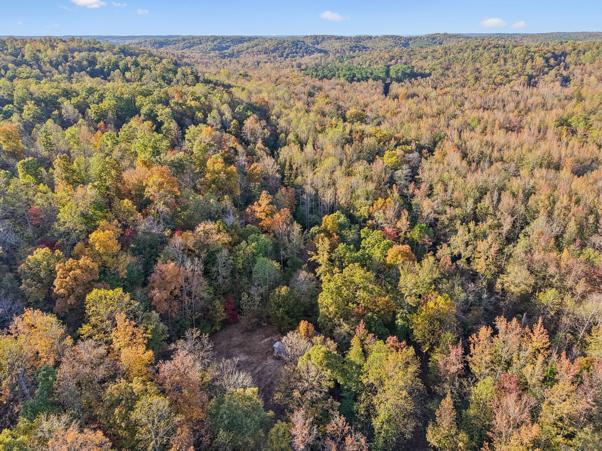 1399 Roberts Creek Road Waverly, TN 37185 - Photo 32 of 42 an aerial view of a houses with a yard