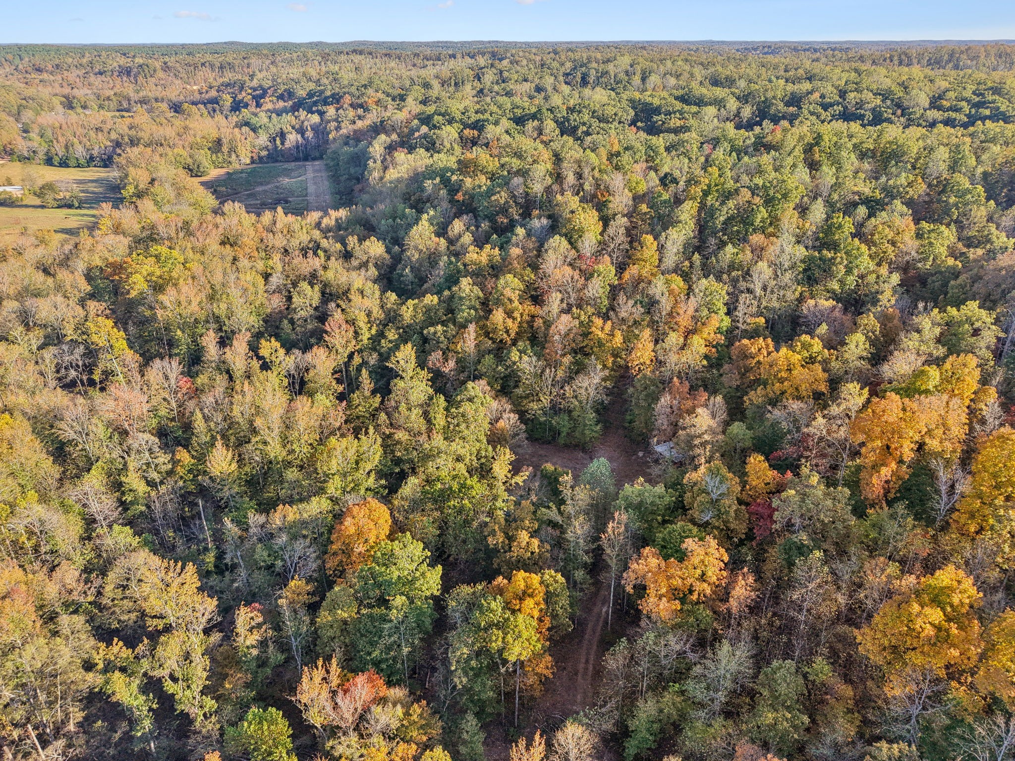 1399 Roberts Creek Road Waverly, TN 37185 - Photo 33 of 42