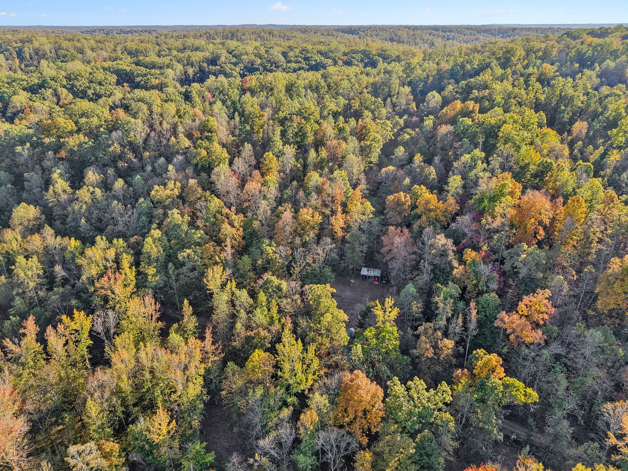 1399 Roberts Creek Road Waverly, TN 37185 - Photo 34 of 42