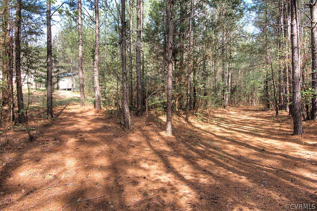 16801 Jolly Road Disputanta, VA 23842 - Photo 3 of 30 Gallery Image 3