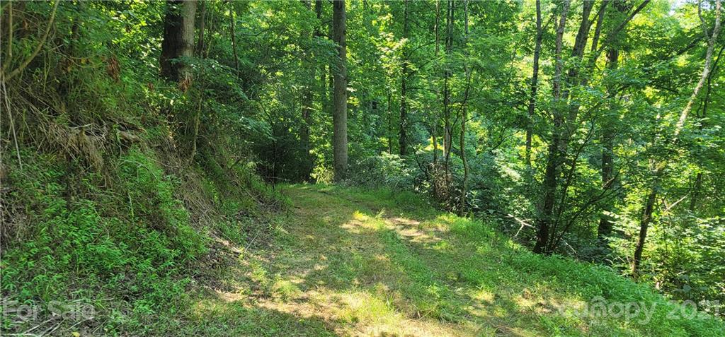9 Walnut Ridge Drive Clyde, NC 28721 - Photo 14 of 41 a view of a lush green forest