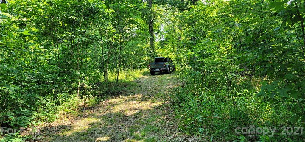 9 Walnut Ridge Drive Clyde, NC 28721 - Photo 20 of 41 a view of a lush green space