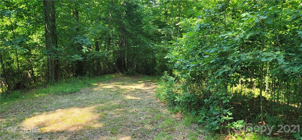 9 Walnut Ridge Drive Clyde, NC 28721 - Photo 21 of 41 a view of backyard with green space