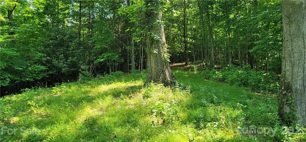 9 Walnut Ridge Drive Clyde, NC 28721 - Photo 24 of 41 a view of outdoor space and green space