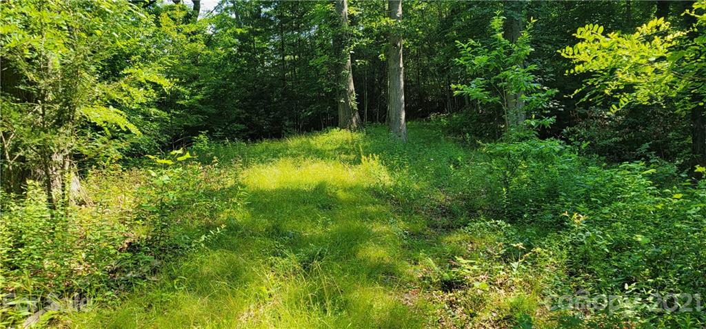 9 Walnut Ridge Drive Clyde, NC 28721 - Photo 25 of 41 a backyard of a house with lots of green space
