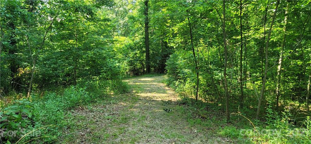 9 Walnut Ridge Drive Clyde, NC 28721 - Photo 27 of 41 a view of a lush green forest