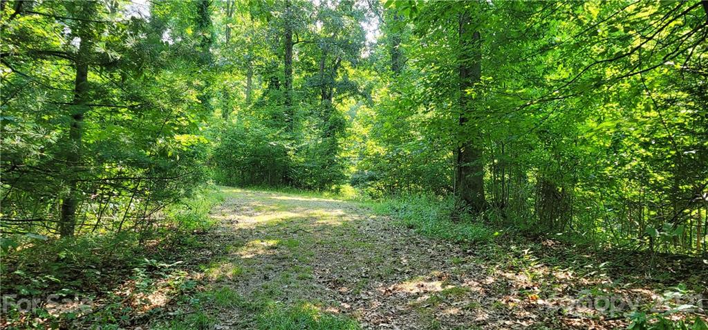9 Walnut Ridge Drive Clyde, NC 28721 - Photo 28 of 41