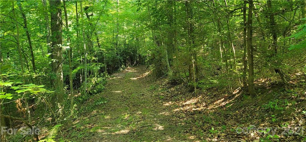 9 Walnut Ridge Drive Clyde, NC 28721 - Photo 29 of 41 a view of a lush green forest