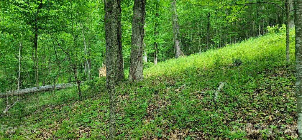 9 Walnut Ridge Drive Clyde, NC 28721 - Photo 31 of 41 a view of a lush green forest