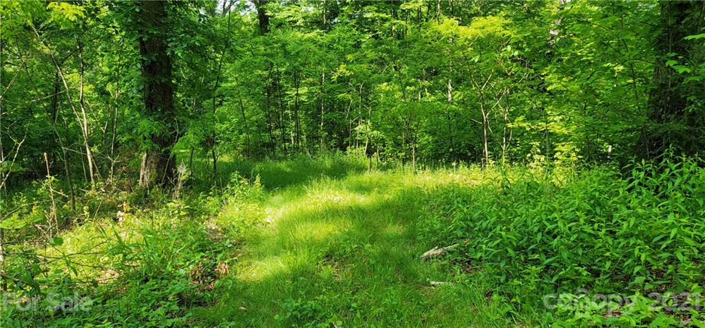 9 Walnut Ridge Drive Clyde, NC 28721 - Photo 36 of 41 a view of a lush green space
