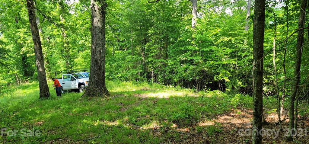 9 Walnut Ridge Drive Clyde, NC 28721 - Photo 40 of 41 a view of a lush green forest