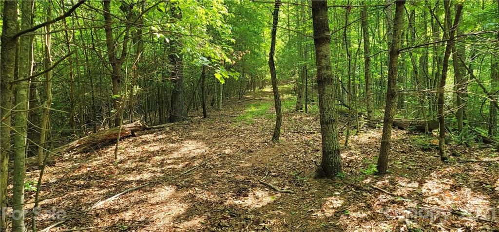 9 Walnut Ridge Drive Clyde, NC 28721 - Photo 41 of 41 a view of forest