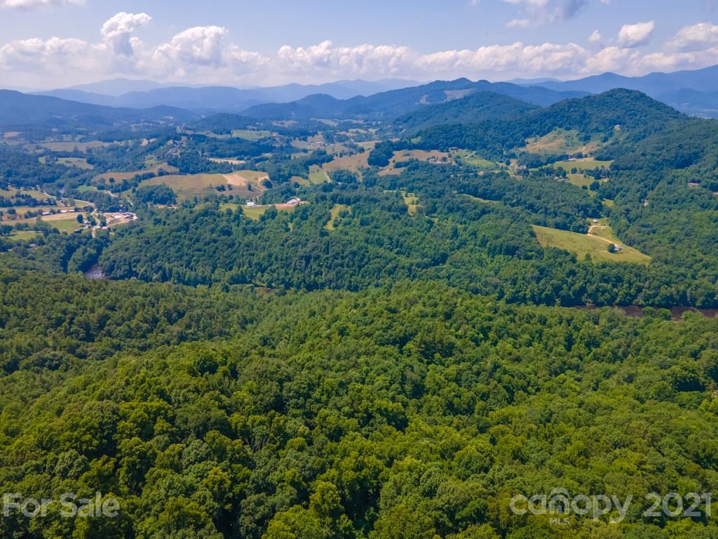 9 Walnut Ridge Drive Clyde, NC 28721 - Photo 7 of 41 an aerial view of residential houses with outdoor and green space