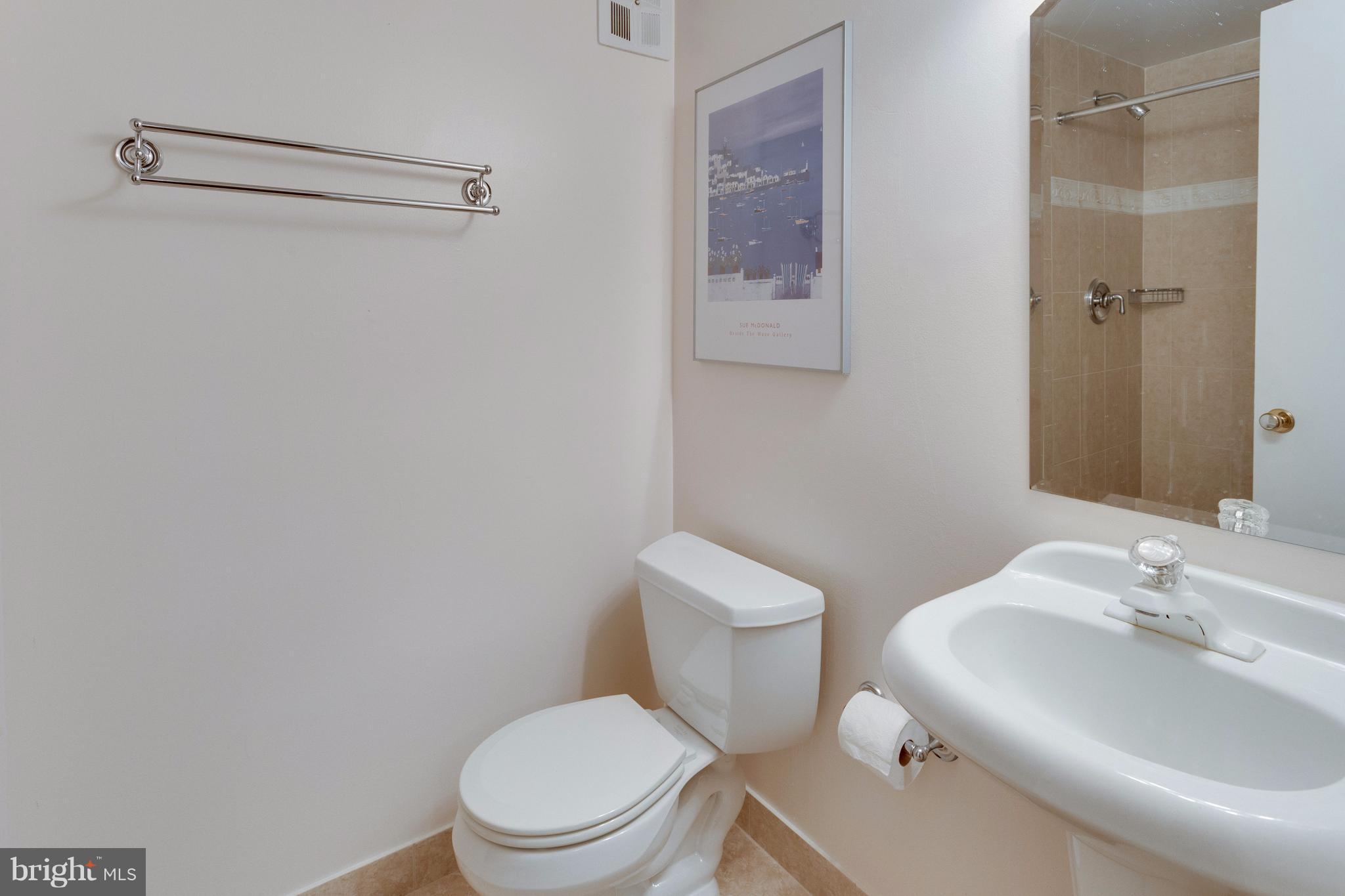 9700 Ranger Road Fairfax, VA 22030 - Photo 20 of 30 Renovated LL full bath