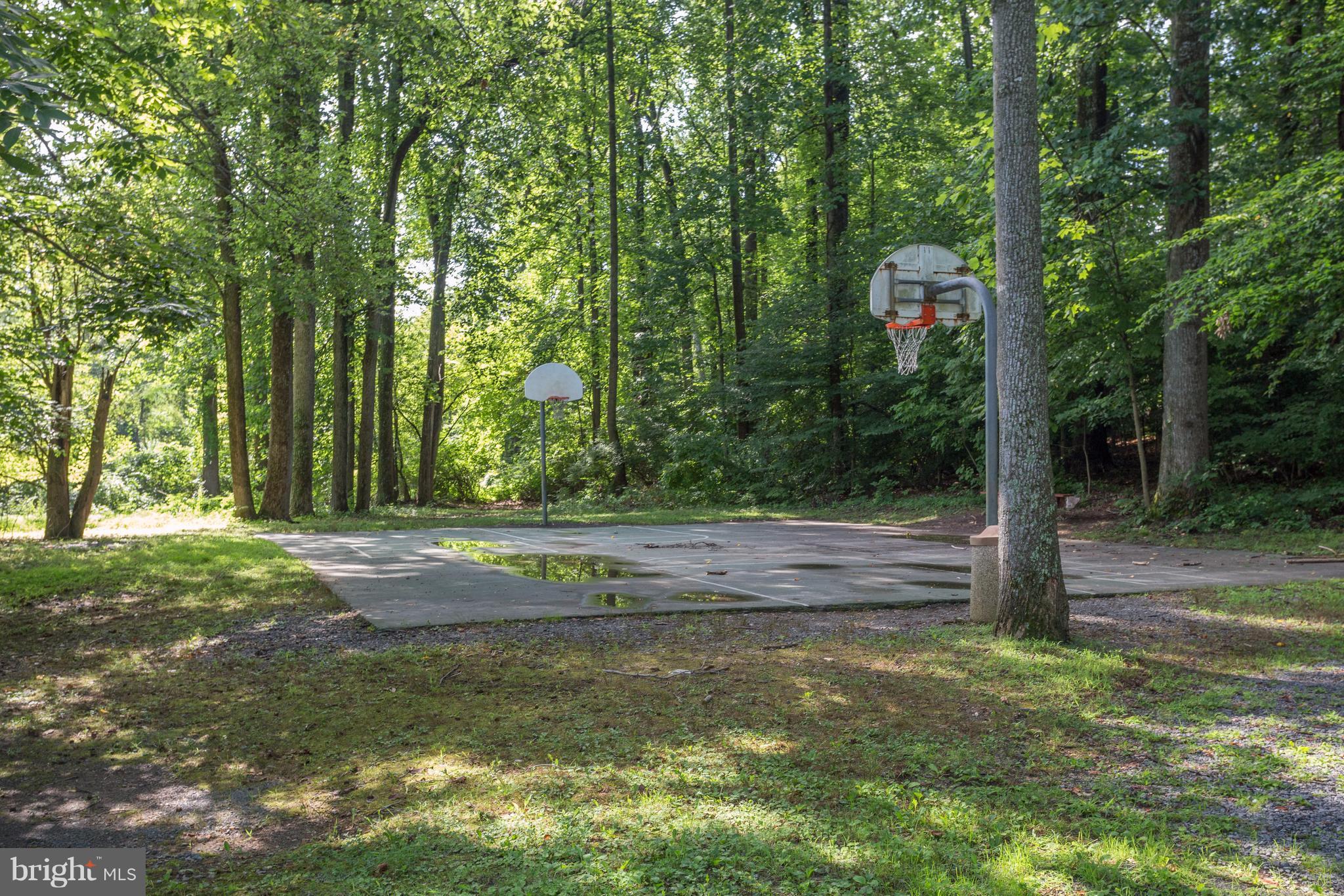 9700 Ranger Road Fairfax, VA 22030 - Photo 27 of 30 Parks on 2 sides