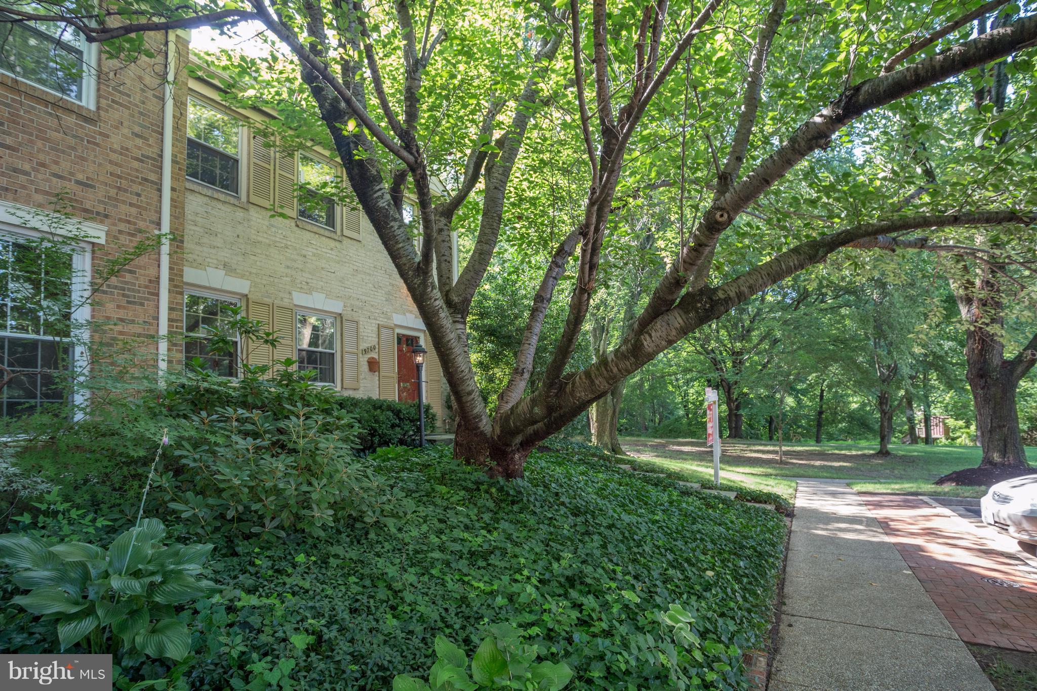 9700 Ranger Road Fairfax, VA 22030 - Photo 29 of 30 What a great place to call "HOME!"