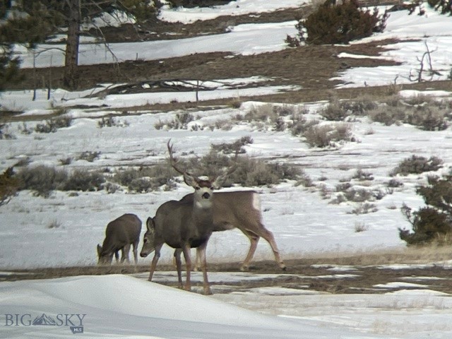 659 Deadmans Canyon Road Reed Point, MT 59069 - Photo 48 of 96 Gallery Image 48