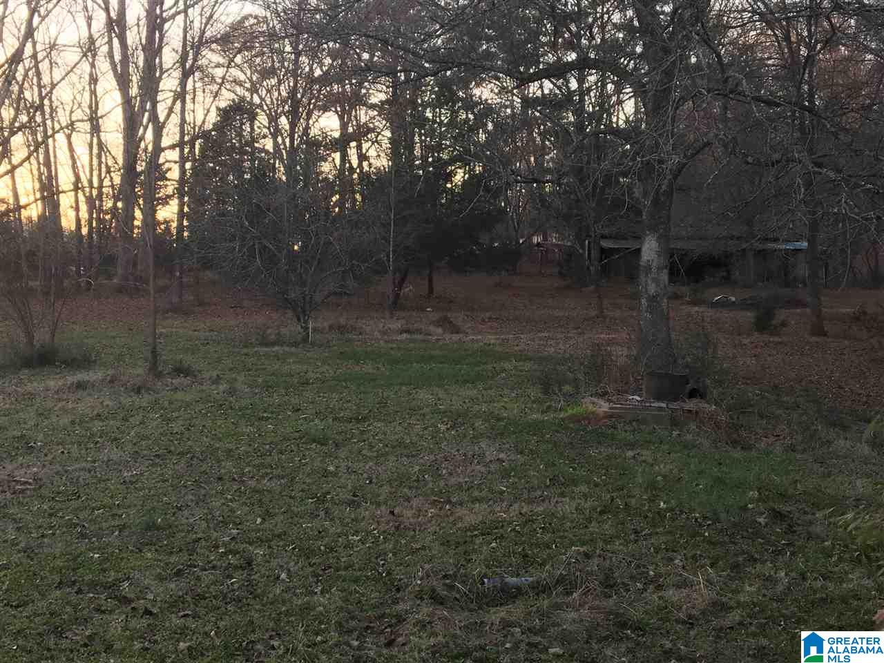 169 Saddle Club Road Jacksonville, AL 36265 - Photo 11 of 12
