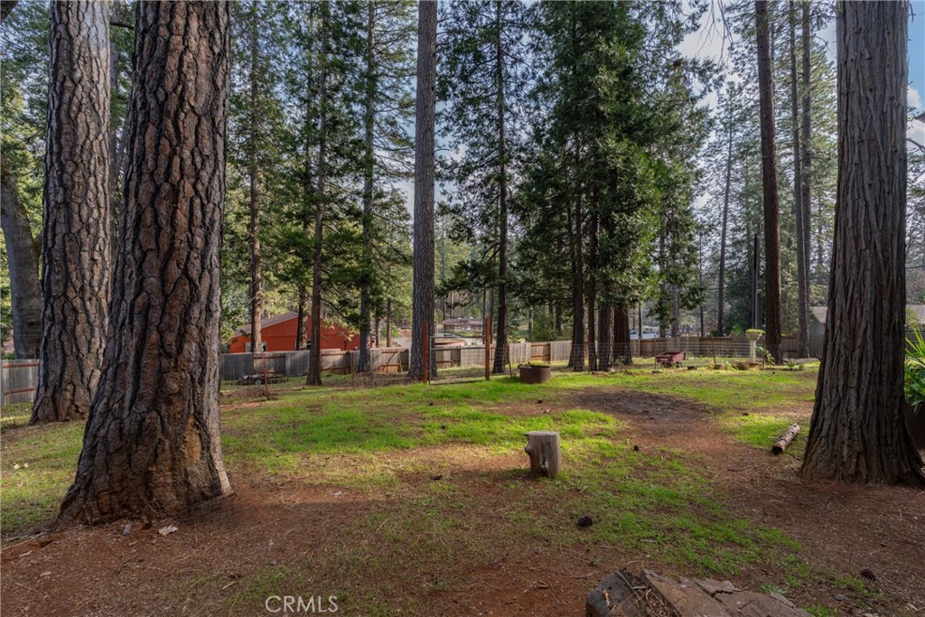 15353 Forest Ranch Way Forest Ranch, CA 95942 - Photo 35 of 47 a view of a trees in a yard with large trees