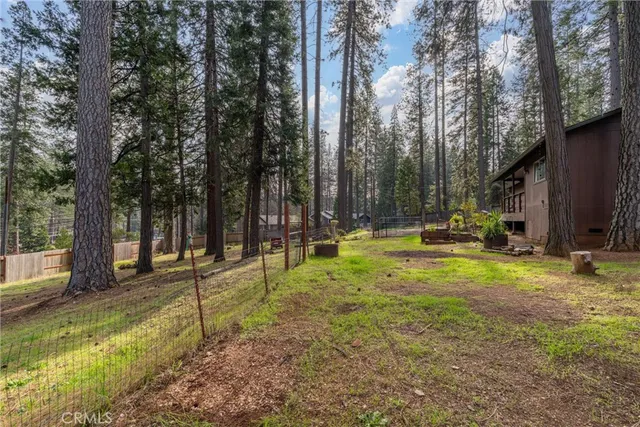 a view of backyard with trees