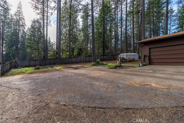 a view of a backyard with tree