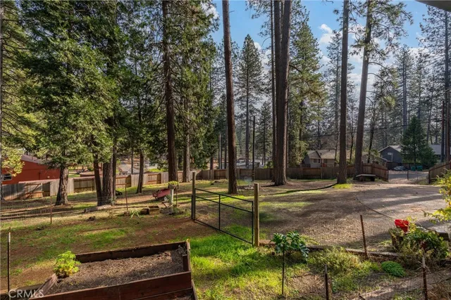 a view of a yard with palm tree