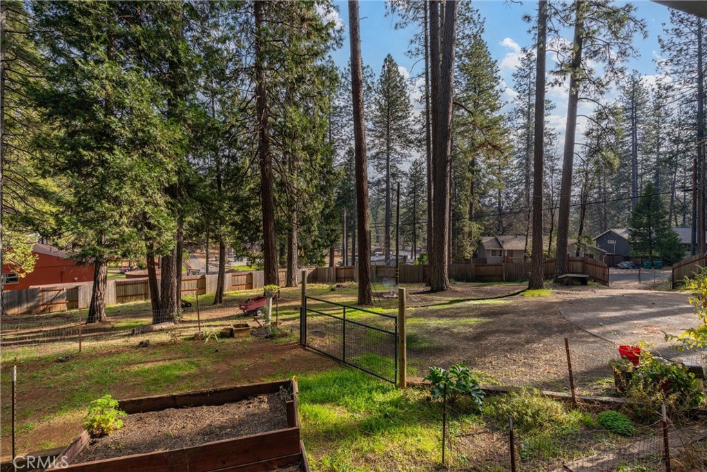 15353 Forest Ranch Way Forest Ranch, CA 95942 - Photo 4 of 47 a view of a yard with palm tree