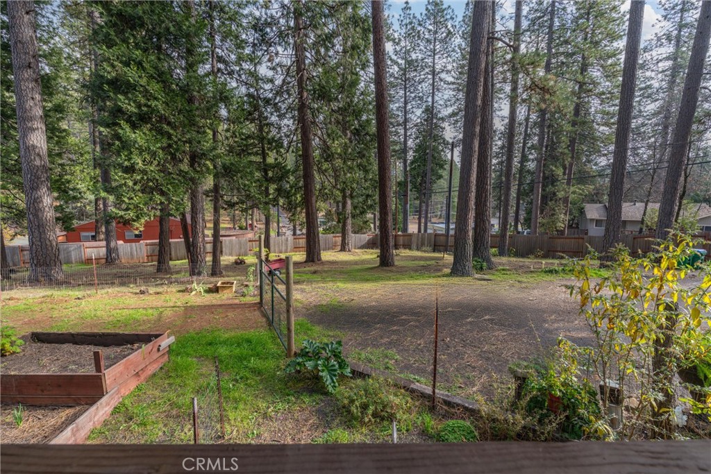 15353 Forest Ranch Way Forest Ranch, CA 95942 - Photo 43 of 47 a view of a garden with trees