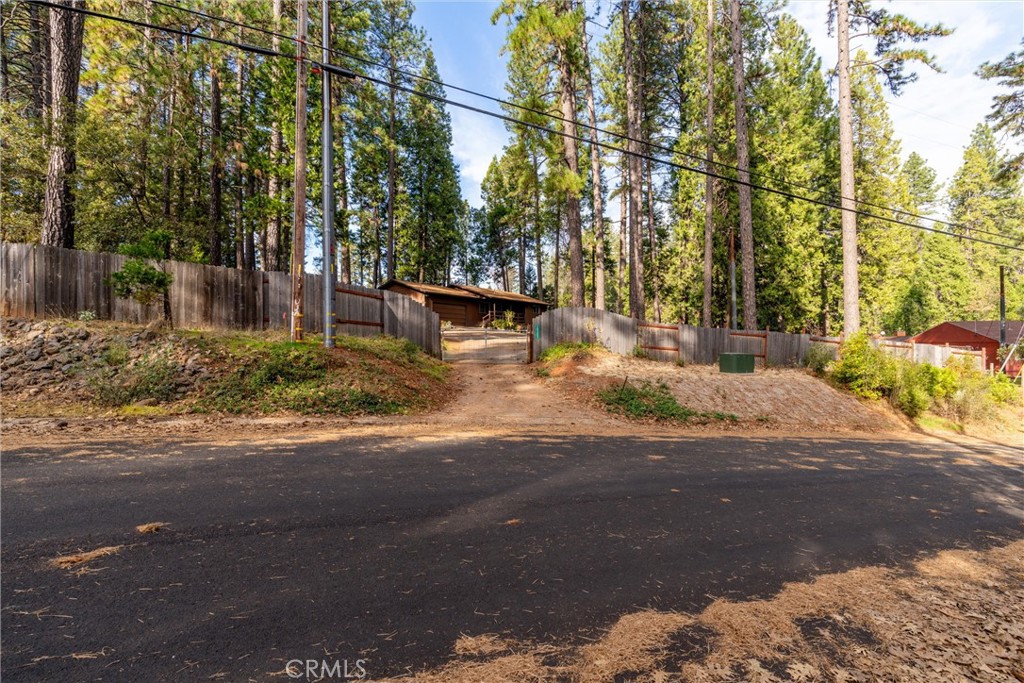 15353 Forest Ranch Way Forest Ranch, CA 95942 - Photo 46 of 47 a view of a yard with large trees