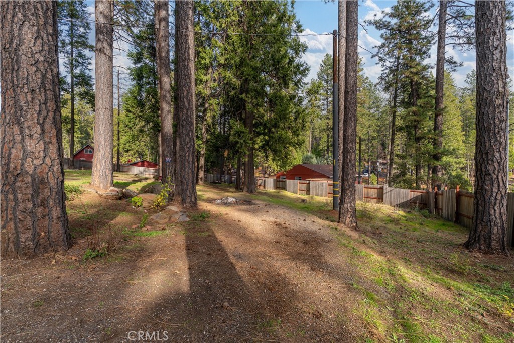 15353 Forest Ranch Way Forest Ranch, CA 95942 - Photo 5 of 47 a view of a tree in the middle of a yard