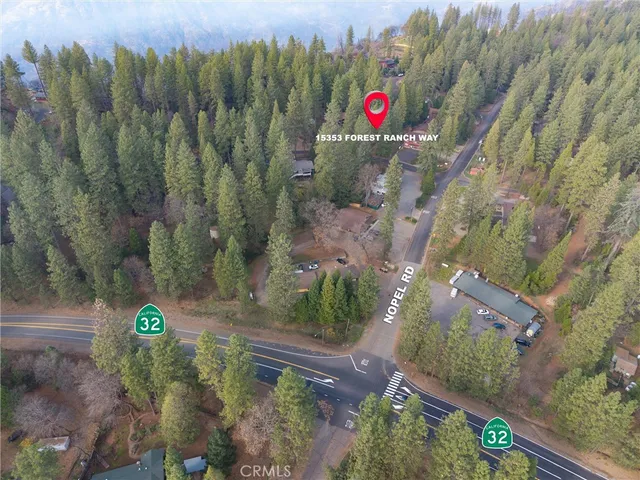 a view of a yard with plants