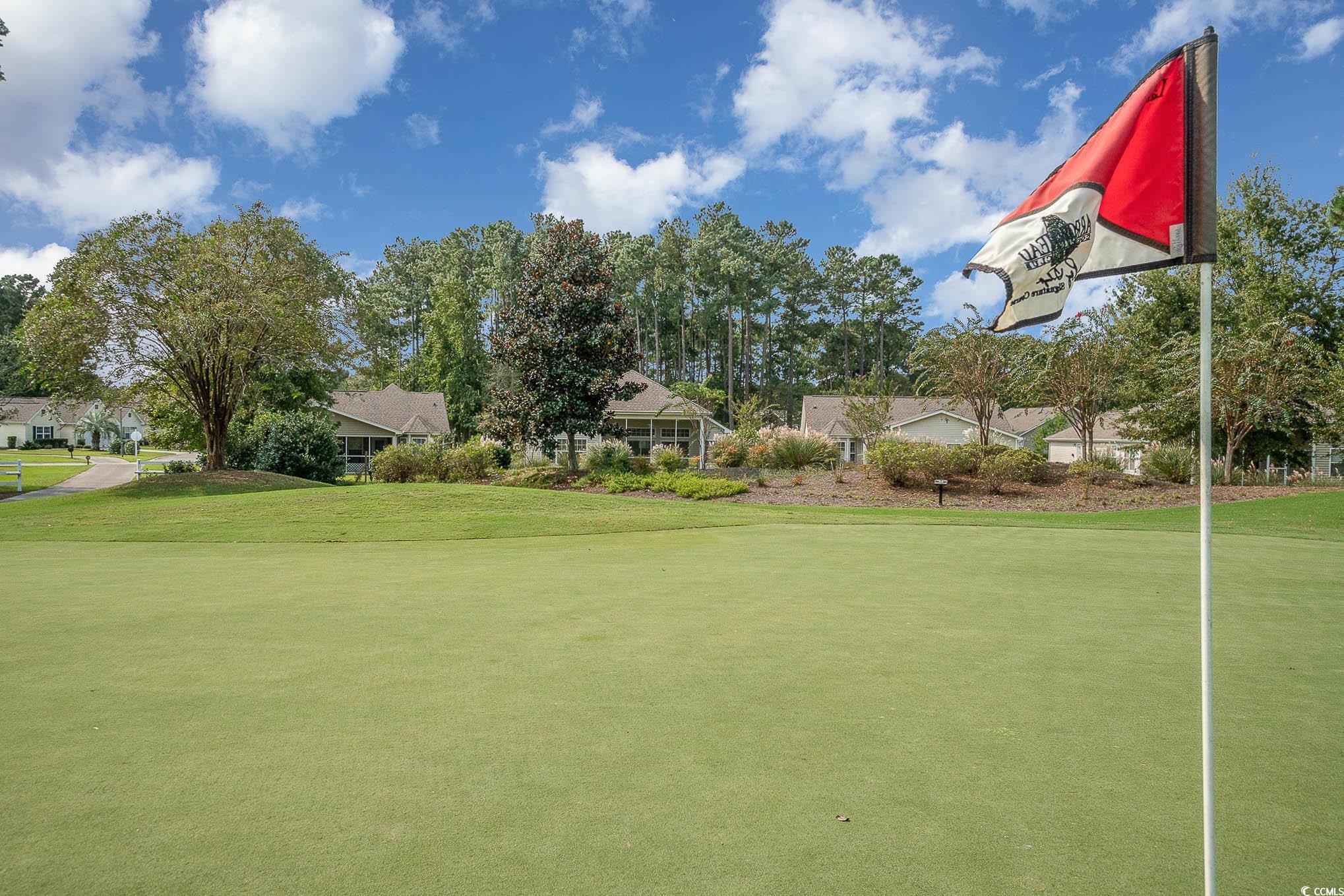 3533 Arrowhead Boulevard Myrtle Beach, SC 29579 - Photo 28 of 31 View of property's community featuring a lawn