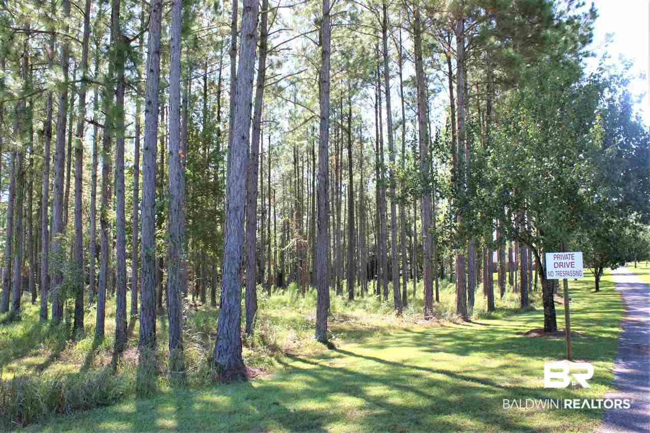 13768 Trawick Road Stapleton, AL 36578 - Photo 26 of 31 Wooded front