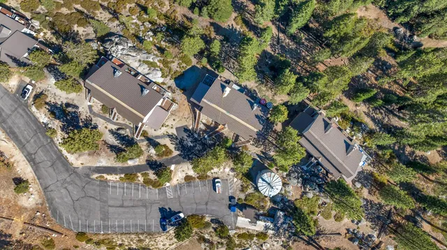 a view of a terrace with a garden and trees