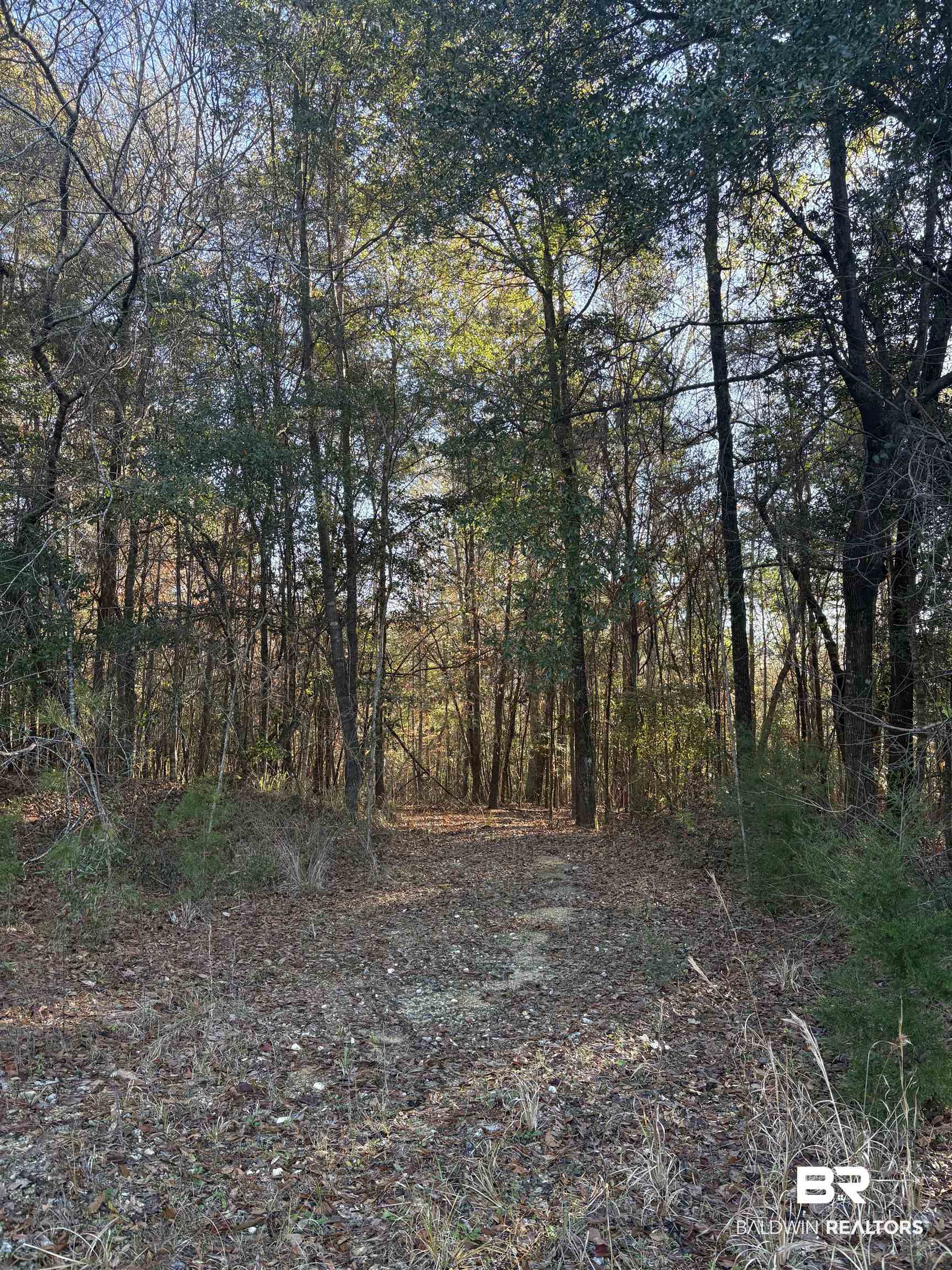 756 Ted Bates Road Evergreen, AL 36401 - Photo 1 of 28 View of landscape