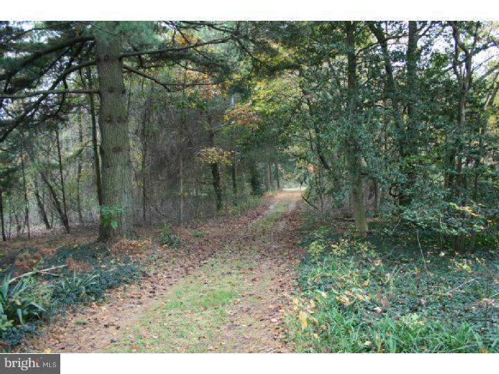 910 Alvine Road Pittsgrove, NJ 08318 - Photo 22 of 23